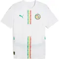 Puma Senegal 2025 Home Jersey Men, Clothing, White/Sport Green, XXL