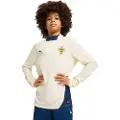 Puma Portugal Quarter-Zip Training Top Youth, Clothing, Sugared Almond/Persian Blue, 15-16Y