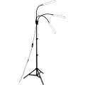 Airam Vekstbelysning Palm 24W/940 1130lm