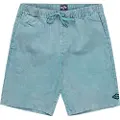 Billabong Larry Cord Shorts blå