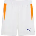 Puma Individual Training Shorts