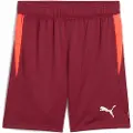 Puma Individual Training Shorts