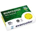 Clairefontaine 40031C, Kunstark/-papir, 80 g/m², 500 ark