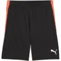 Puma Liga Shorts