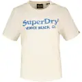 Superdry Venue Metallic Relaxed Kortarmet T-skjorte