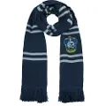 Harry Potter Deluxe Ravenclaw