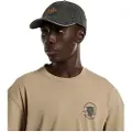 Dickies Dad Denim Cap