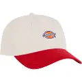 Dickies Hardwick Two Tone Cap