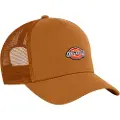 Dickies Hanston Trucker Cap