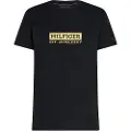Tommy Hilfiger Colour To Colour Kortarmet T-skjorte