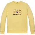 Tommy Hilfiger Flag Collegegenser