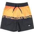 Quiksilver Everyday Straight Vly 12 Badebukse