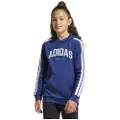 Adidas Codes Collegiate Graphic Hettegenser