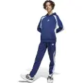 Adidas Seasonal Essentials Colorblock Joggers