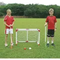 My Hood Hockey Goal