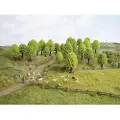 Noch 26836, Grønn, 1 stykker