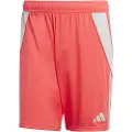 Adidas Tiro 24 Shorts
