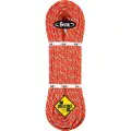 BEAL Tiger Golden Dry 10 Mm Tau