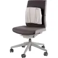 Fellowes Ergonomisk Ryggstøtte