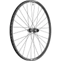 Dt Swiss X 1900 Spline 25 29´´ Cl Disc Tubeless Bakhjul