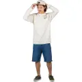 REELL Solid Shorts blå
