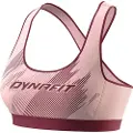Dynafit Alpine Graphic Sport-bh