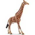 Schleich Giraffenbulle