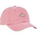 Dickies Hardwick Duck Canvas Cap