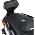 Givi Yamaha Xmax 400 13 Ryggstøtte