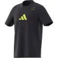 Adidas Category Graphic Kortarmet T-skjorte