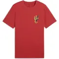 Puma Road To Unity Graphic Kortarmet T-skjorte