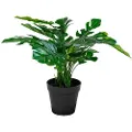 House Nordic House NordicKunstig plante Monstera. Plante av PE-plast. Ø 40 cm.GrønnKunstige planter & blomsterFra Homeroom