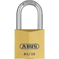 ABUS Rake SOLID WOOD, 16 teeth, 163 cm, for soil
