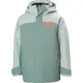 Helly Hansen Level, Skijakke, Junior, Cactus