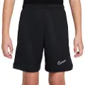 Nike Dri-fit Academy 25 Shorts