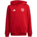 Adidas Arsenal Fc Hettegenser