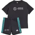 Adidas Mercedes Amg Petronas F1 Team Dna Sett