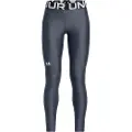 Under Armour Heatgear Leggings