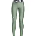 Under Armour Heatgear Leggings