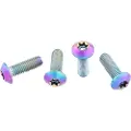 Wolf Tooth Titanium Low Profile Flaskeholder Skruer 4 Enheter