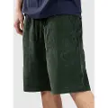 Blue Tomato Mini Cord Shorts grønn