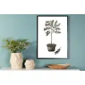 Venture Home Venture HomePoster OliveHvitPostereFra Homeroom