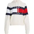 Tommy Hilfiger Dw0dw20250 Hettegenser