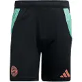 Adidas Fc Bayern Tiro 24 Training Shorts