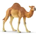 Schleich Dromedar
