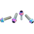 Wolf Tooth Titanium Std Flaskeholder Skruer