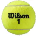 Wilson Roland Garros All Court -tennispallo, tuplapakkaus