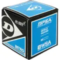 Dunlop Intro Single Blue Dot Squashballer