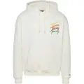 Tommy Hilfiger Color Signature Relaxed Fit Hettegenser
