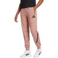 Adidas Z.n.e Svettbukser